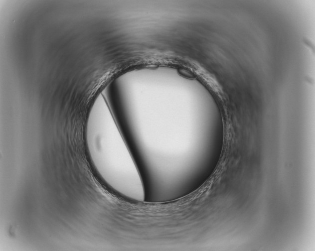X0000094220009200710261003