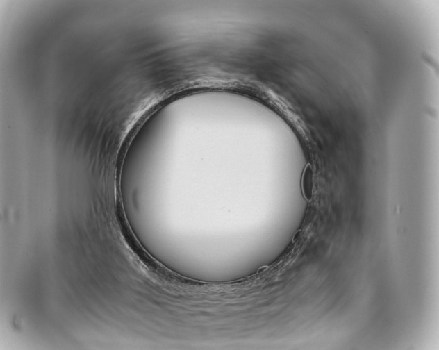X0000094220011200710261003
