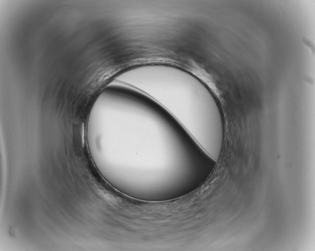 X0000094220013200710261003
