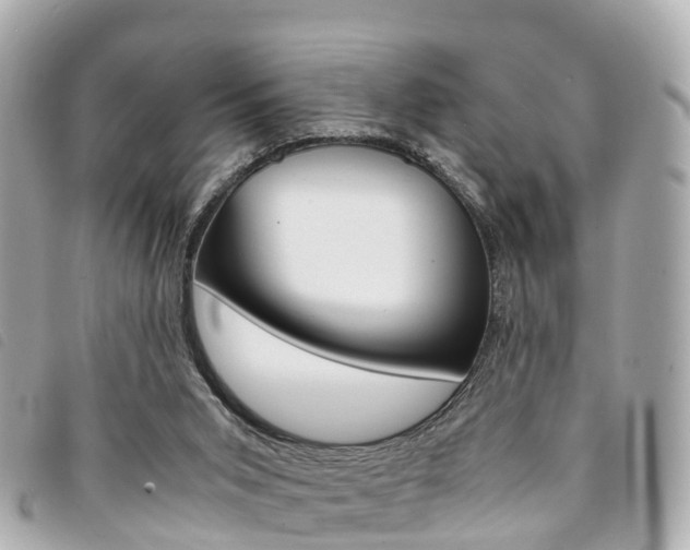 X0000094220015200710261003