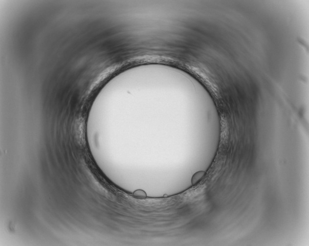 X0000094220016200710261003