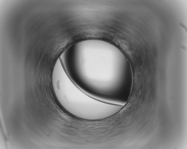 X0000094220017200710261003