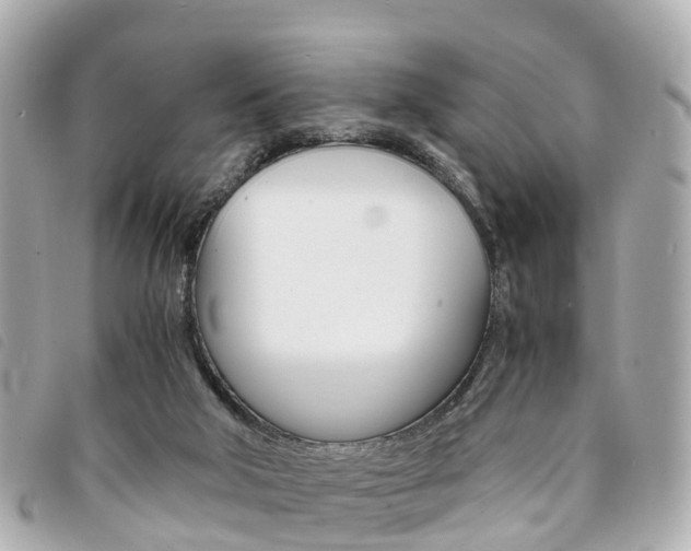 X0000094220018200710261003