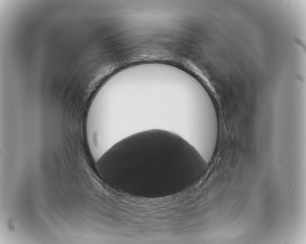 X0000094220019200710261003
