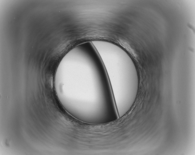 X0000094220021200710261003