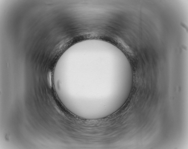 X0000094220022200710261003