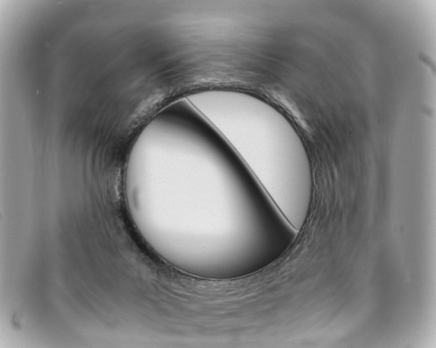 X0000094220023200710261003