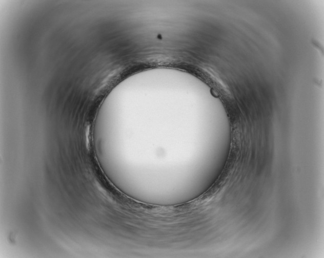 X0000094220024200710261003
