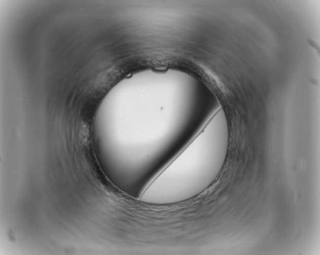 X0000094220025200710261003