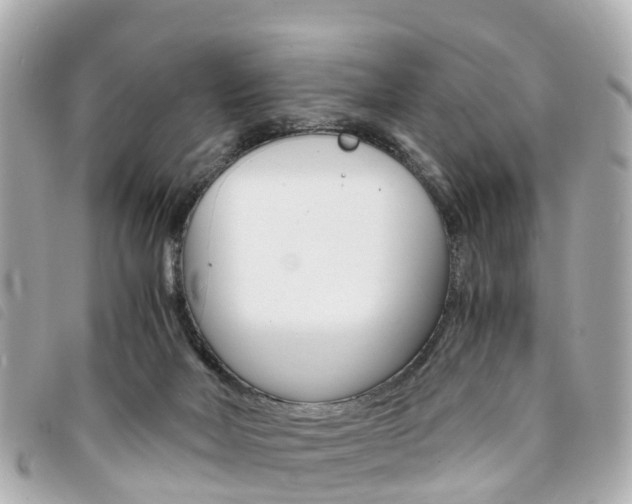 X0000094220026200710261003