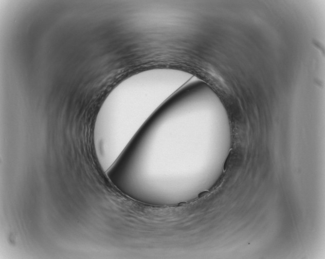 X0000094220029200710261002
