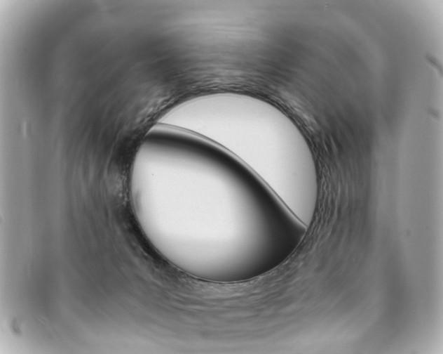 X0000094220031200710261002