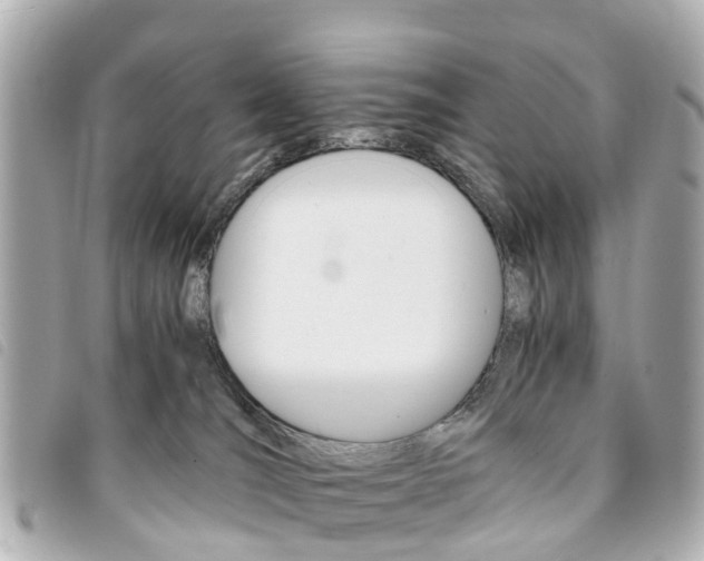 X0000094220036200710261002