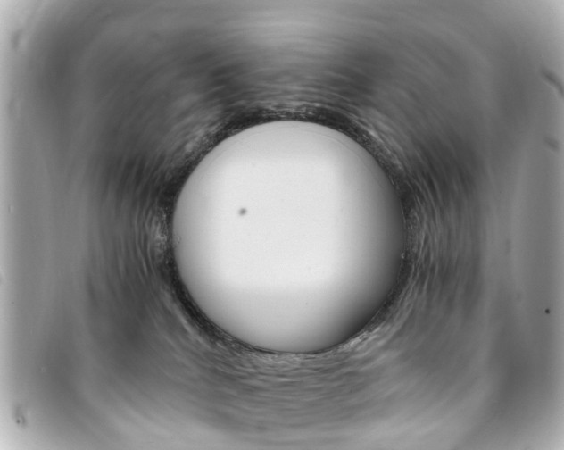 X0000094220040200710261002