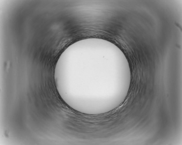 X0000094220041200710261002