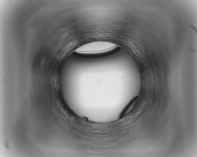 X0000094220044200710261002