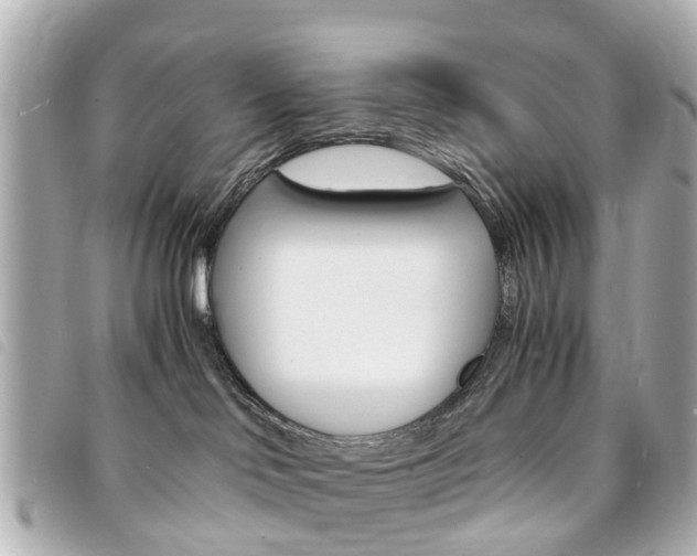 X0000094220046200710261002