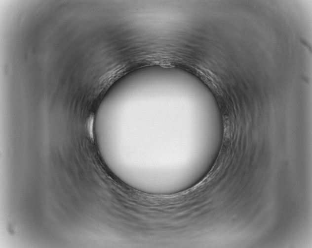 X0000094220047200710261002