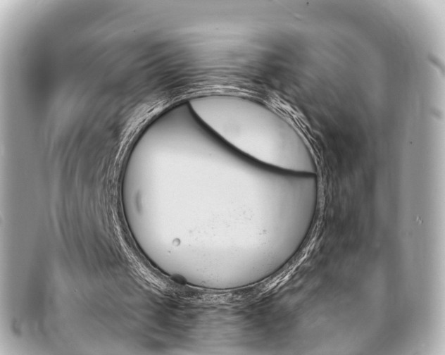 X0000094220049200710261002