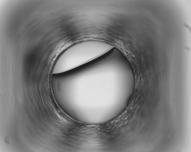 X0000094220050200710261002