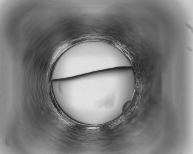 X0000094220053200710261002