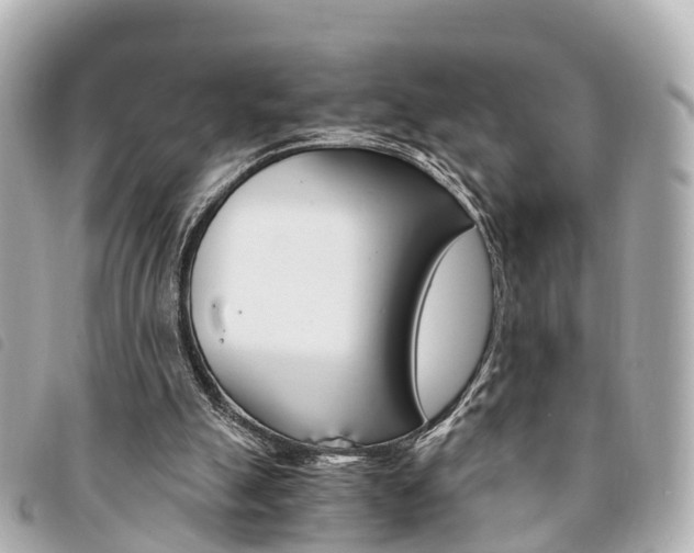 X0000094220055200710261002