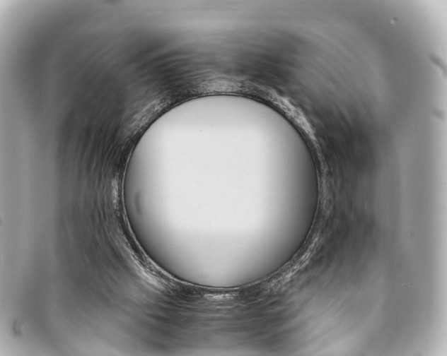 X0000094220057200710261002