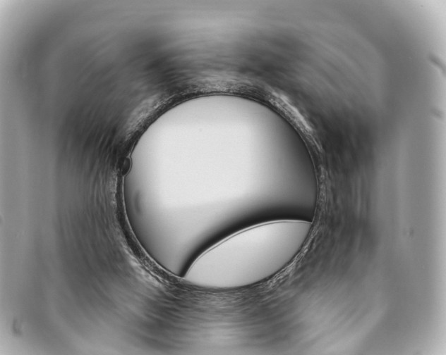 X0000094220058200710261002