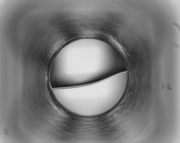 X0000094220059200710261002
