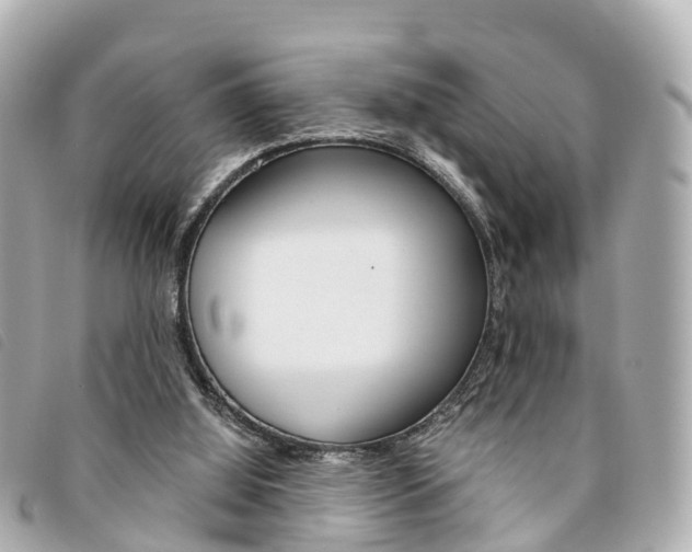 X0000094220060200710261002