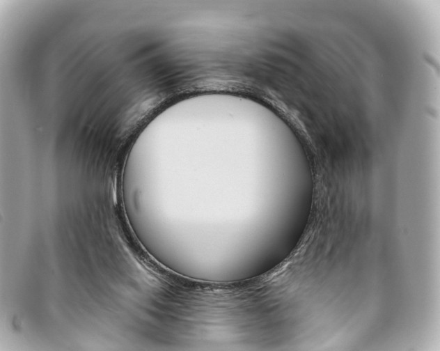 X0000094220062200710261002