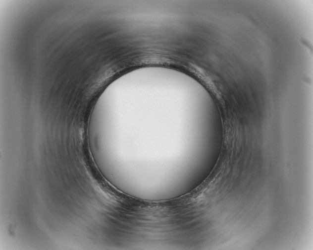 X0000094220063200710261002