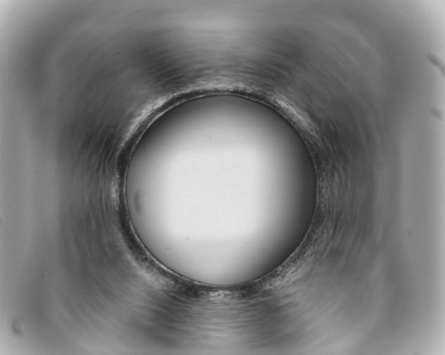 X0000094220064200710261002