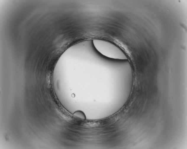 X0000094220065200710261002
