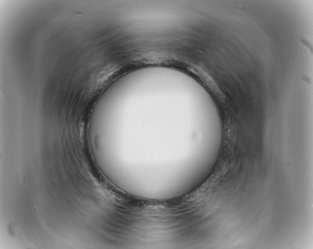 X0000094220066200710261002