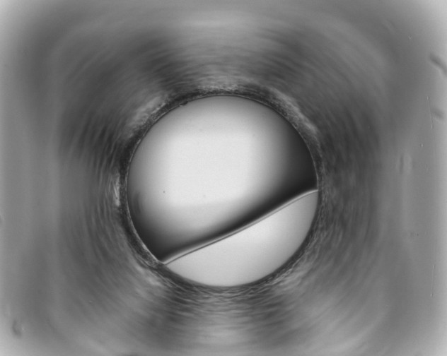 X0000094220068200710261002