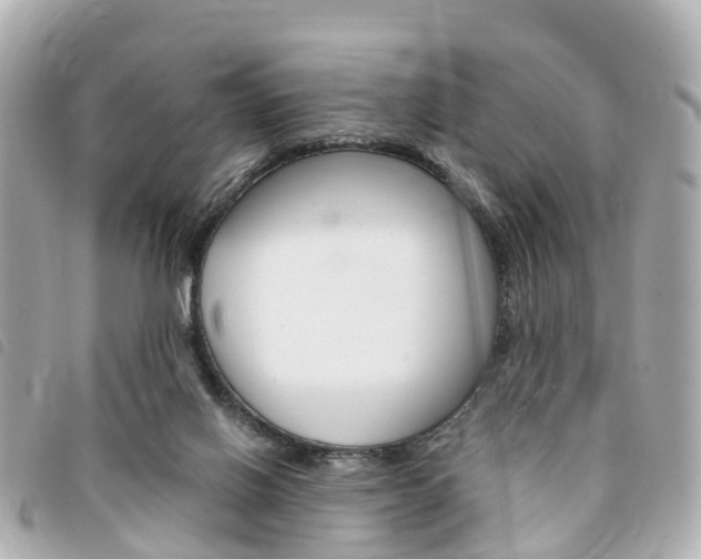 X0000094220070200710261002