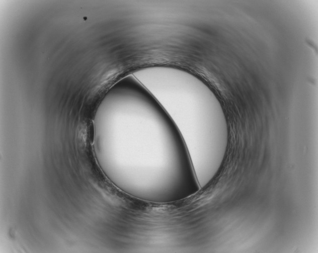 X0000094220072200710261002