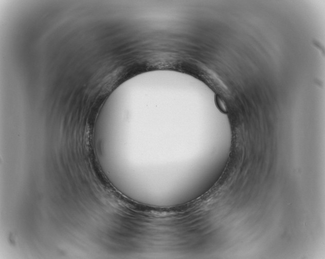 X0000094220073200710261002