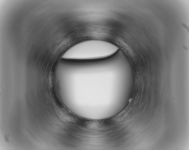 X0000094220074200710261002