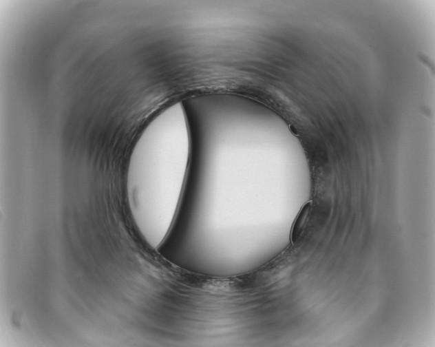 X0000094220076200710261002
