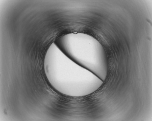 X0000094220077200710261002