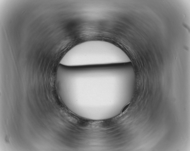 X0000094220078200710261002