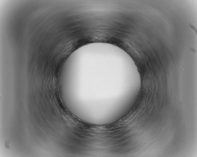 X0000094220079200710261002