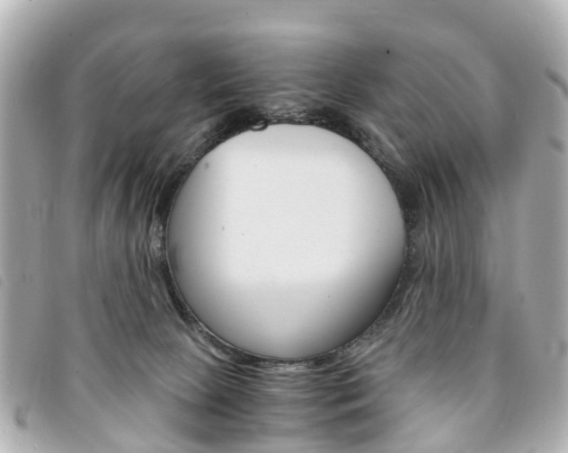 X0000094220081200710261002