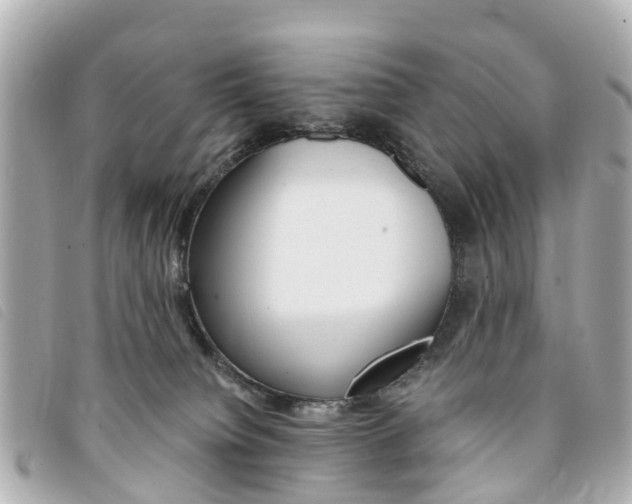X0000094220084200710261002