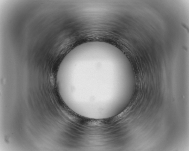 X0000094220086200710261002
