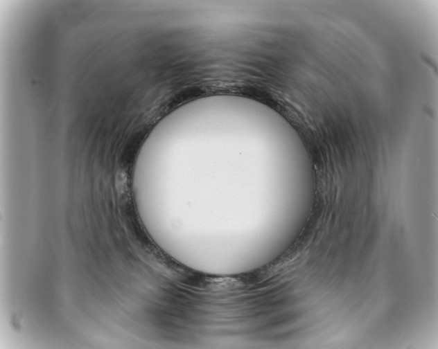 X0000094220087200710261002