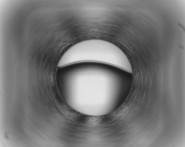 X0000094220088200710261002
