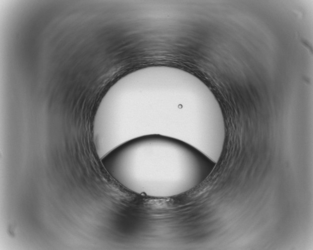 X0000094220089200710261002